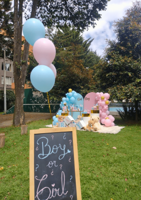 1_Decoración para entrada del salón de baby shower y revelación de género-min